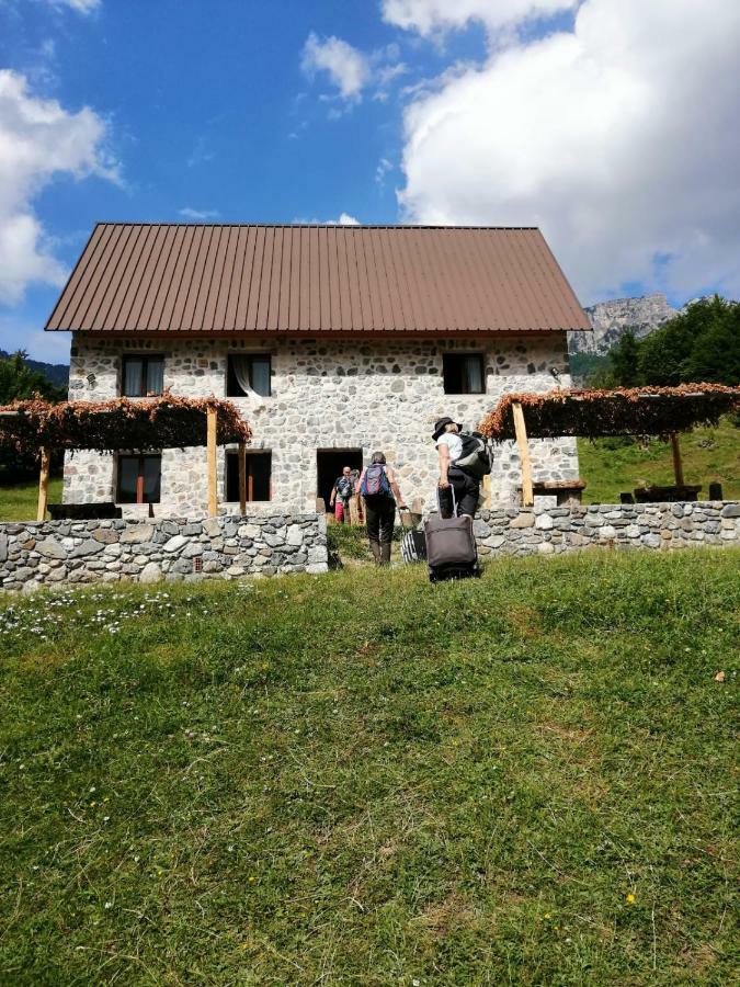 Guest House Panorama Theth Eksteriør bilde